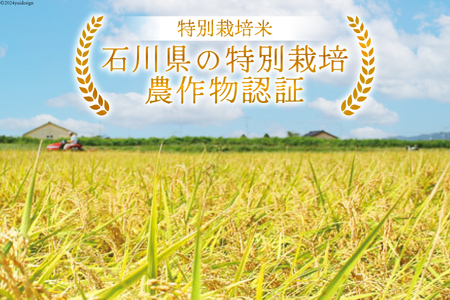 米 特別栽培米 平右ェ門（へいよもん）白米 5kg [いまい農場 石川県 中能登町 27ad0004]