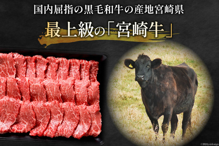牛肉 宮崎牛 モモ焼肉 500g 2p 計 1kg [ミヤチク 宮崎県 日向市 452061585]