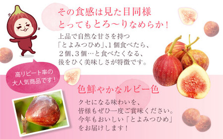 JAふくおか嘉穂 いちじく とよみつひめ 秀品 300g（3～5玉）×4パック 計1.2kg 【2026年8月上旬～10月下旬発送予定】