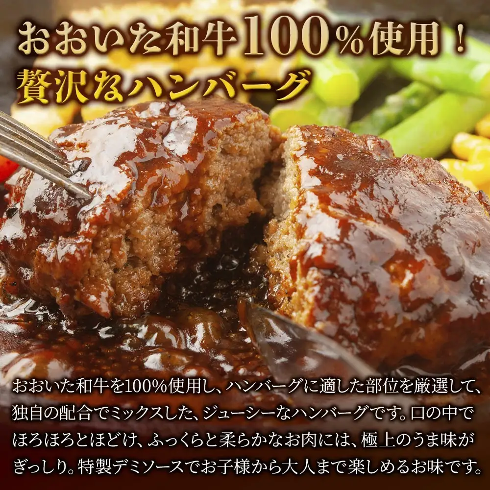 デミハンバーグ おおいた和牛100% デミ ハンバーグ 約150g×20個 計約3kg | 津久見市