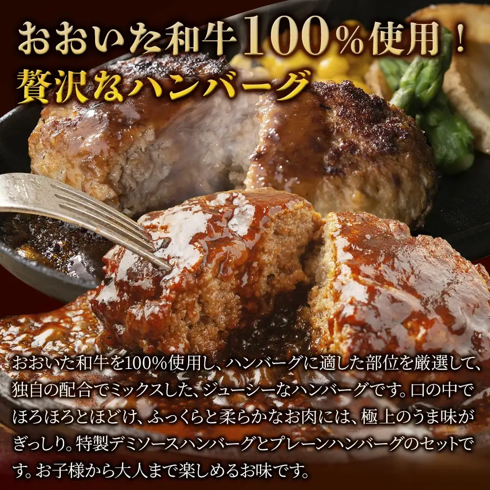 おおいた和牛ハンバーグ デミ＆プレーンハンバーグ 12個 合計約1.2kg | 津久見市