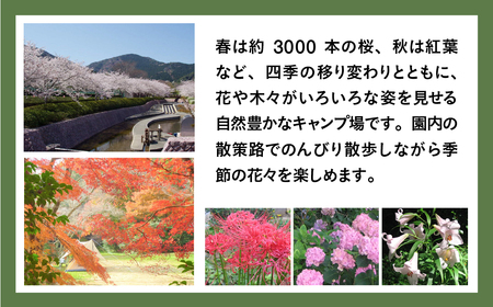 滝頭公園キャンプ場利用券