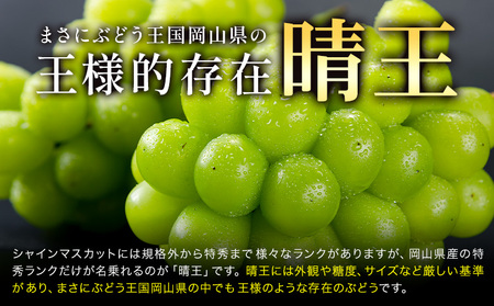 【2026年発送】プレミアム シャインマスカット 船穂 赤秀品 晴王 600g 晴レ乃青果　(岡山中央卸売市場店(富士紙工 有限会社))  