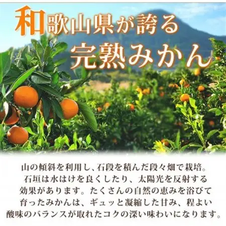 【2026年11月下旬より発送】秀品　有田みかん 2kg　2S ～ Lサイズのいずれか【1562802】