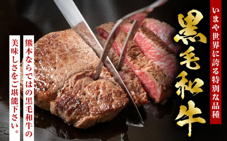 熊本県産 黒毛和牛 ランプステーキ 約400g（約200g×2枚）【有限会社 九州食肉産業】[ZDQ159]