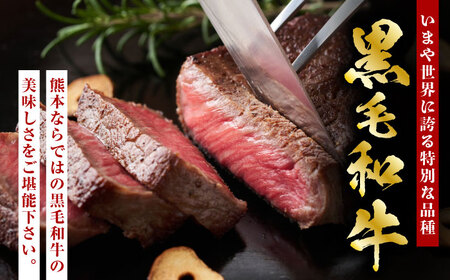 熊本県産 黒毛和牛 ヒレステーキ 約400g（約200g×2枚）【有限会社 九州食肉産業】[ZDQ161]