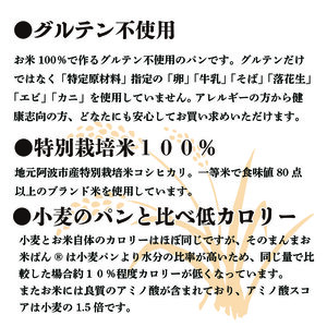 パン 食パン そのまんまお米ぱん 3本 ( 600g × 3 ） コシヒカリ 米 使用 米 パン 米 パン