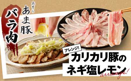 あま豚 焼肉 セット A146-007 豚肉 豚 肉 ぶた肉 ポーク バラ ロース 肩ロース 豚バラ 豚ロース 豚肩ロース スライス 美味しい 焼肉セット バーベキュー BBQ 生姜焼き ミルフィーユカツ きめ細かい 肉質 昼食 夕食 ごはん おかず AMAMIMAMA ふるさと納税 奄美市 おすすめ ランキング プレゼント ギフト