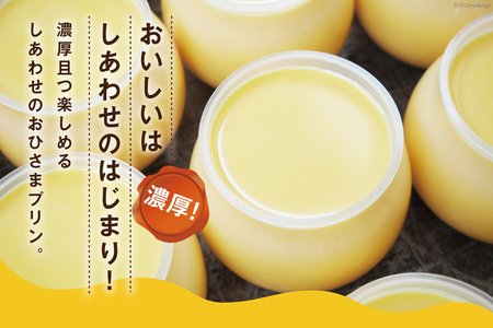 プリン｜しあわせのおひさまプリン6個入り (120g/1個) おやつ デザート 洋菓子[お菓子工房おひさま 山梨県 韮崎市 20743784] 