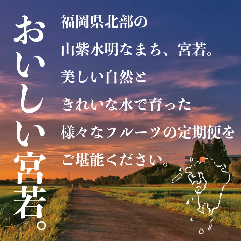 【定期便】宮若市旬のフルーツ定期便【全４回】 ブランド いちご ぶどう みかん 柿 大人気 NO1 限定品 高級 フルーツ 果物 くだもの 特別 冷蔵 プレゼント 九州 福岡 宮若市 ふるさと納税 おすすめ 送料無料 M763