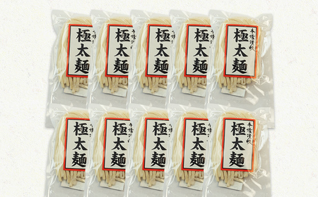 本場さぬきうどん一晩熟成極太生うどん 極太満足セット 極太生うどん300g×10袋、つゆ20ml×8、しょうゆうどんつゆ200ｍl 1本 F5J-160