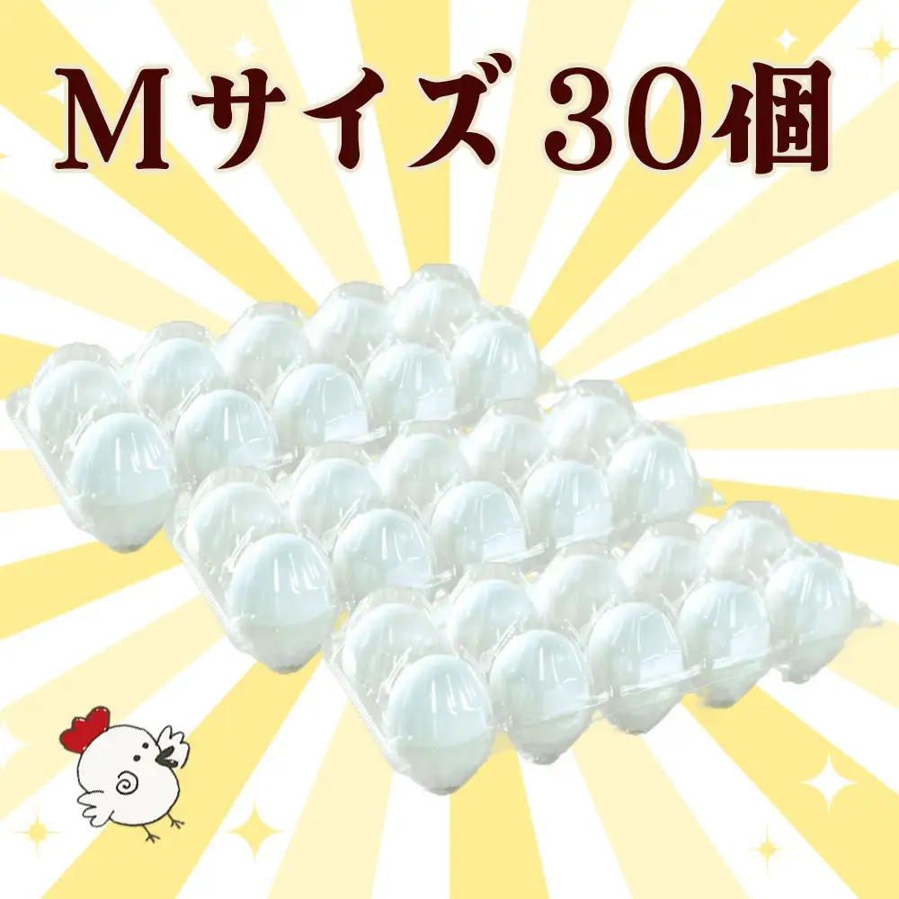 自然飼い　幸せの卵　アローカナ　30個　【04209-0234】 たまご