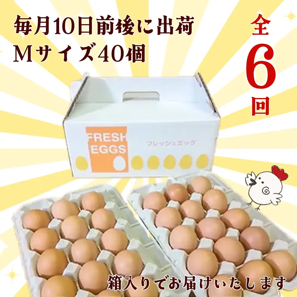【6か月定期便】自然飼い　純国産鶏「もみじ」卵　40個入　（Mサイズ）　【04209-0238】　たまご