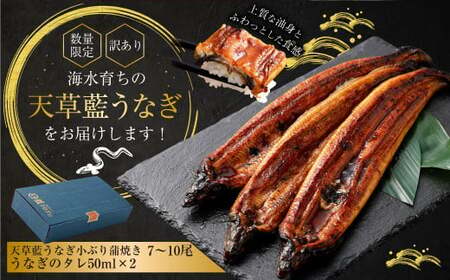 【数量限定】 【訳あり】 【ミシュラン星付きのプロが愛用】海水育ちの 天草 藍うなぎ 小ぶり 蒲焼 1kg（7～10尾）  養殖期間中 無投薬 鰻 ウナギ うなぎ うなぎ蒲焼 鰻の蒲焼 国産