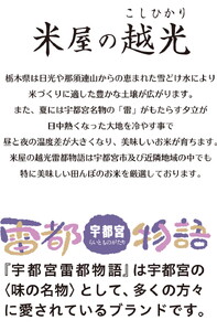 栃木県産コシヒカリ 「米屋の越光」20kg（5kg×4）◇