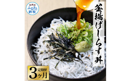 《3ヶ月定期便》高知県産釜揚げしらす×8パック 