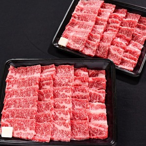 【30営業日以内配送】《焼肉店を直営する精肉工場からお届け》黒毛和牛「山形牛」焼肉用（肩・モモ・バラ お任せ）500g（500g×1パック）　019-D-YL046