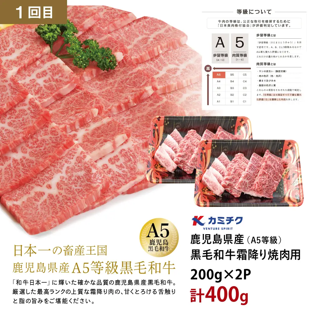 【厳選焼肉定期便】黒毛和牛・ブランド豚・牛タン 全3回コース 牛肉 焼肉 焼き肉 BBQ バーベキュー 豚肉 バラ ロース 牛タン お肉 小分け 冷凍 定期配送 カミチク スターゼン JA食肉かごしま 鹿児島県南さつま市