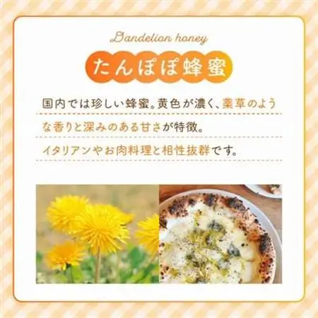 旅するはちみつ200g2本セット【たんぽぽ・蕎麦】【1186189】