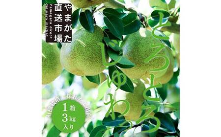 【先行受付（令和8年度発送）】食べ頃 山形特選ラ・フランス3kg FSY-2031