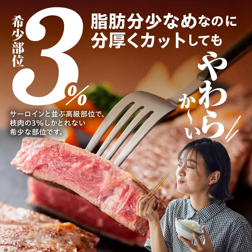 宮崎牛ヒレブロック500g_22-8905_(都城市) 宮崎県産 宮崎牛 真空パック ヒレブロック 高級部位 枝肉の3％ 希少な部位 やわらか 脂肪分が少ない お好みサイズ カット