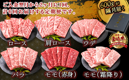 ≪限定200セット≫隔月6回お届け!【宮崎牛A5】焼肉6種盛り(乙守牛）_T192-6-6501_(都城市) 都城産宮崎牛 A5 焼肉6種盛 各100g ロース/肩ロース/ウデ/バラ/モモ(赤身)/モモ(霜降り) 隔月6回お届け