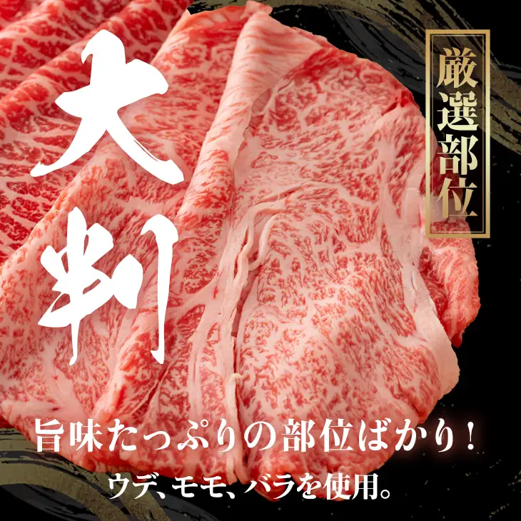 佐賀牛 牛肉切り落とし 500g  牛肉切り落とし  B110-025