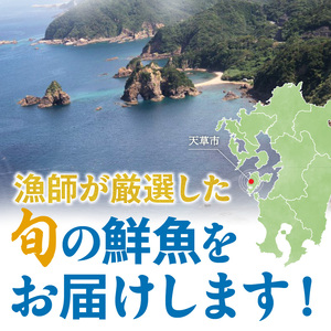 S059-021_天草わくわく旬魚刺身セットミニ（１人用）