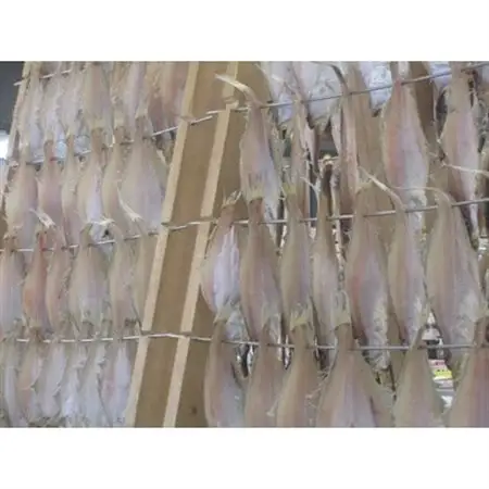 美味い、脂の乗った浜坂産一夜干しかれい　約1.0kg　5～8枚入【配送不可地域：離島】【1561770】