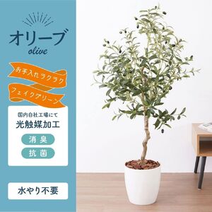 フェイクグリーン オリーブ 130cm 光触媒加工 鉢付き インテリア 抗菌 消臭 愛知県 豊橋市 送料無料 52000円