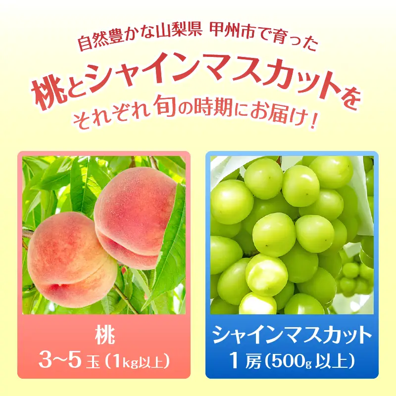 【定期便】【お試しサイズ】旬のフルーツ2回定期便（桃・シャインマスカット）【2026年発送】（HK）B16-440 桃 シャインマスカット フルーツ