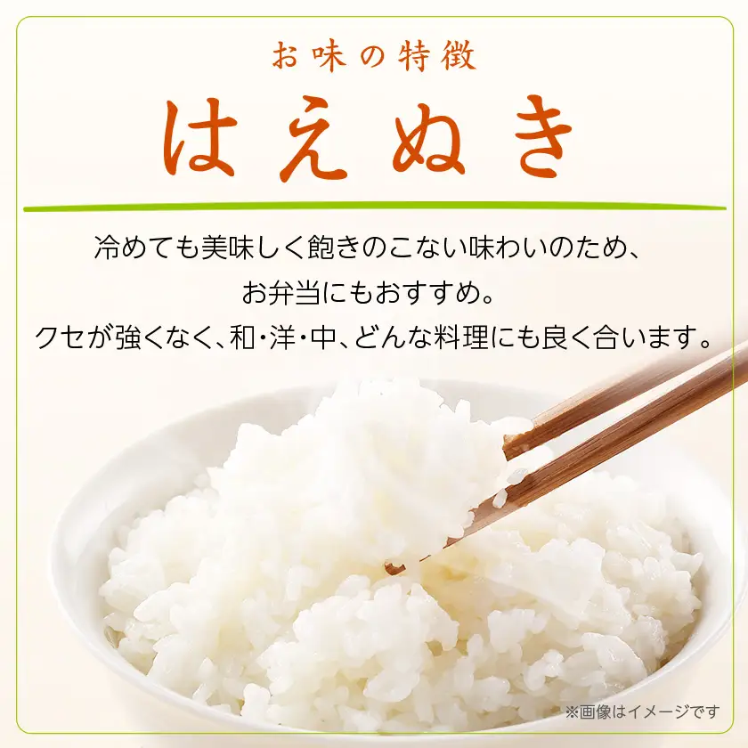 令和7年産　はえぬき10kg(5kg×2袋)【無洗米】_ 精米 米    はえぬき 米 _【1567622】