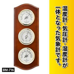ウェザーガイド気象計 BM-716 [AJ055]