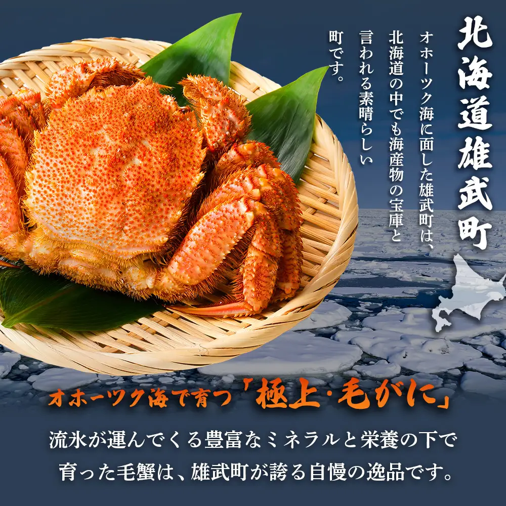 【北海道雄武町産】毛がに（冷凍）(600g前後×1)【1240702】