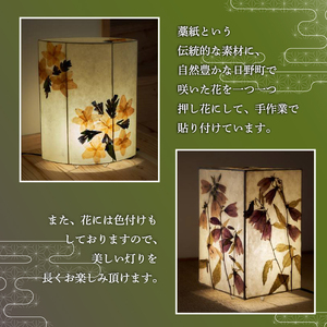 【麗】彩巴の押花灯り スタンドライト 室内用 インテリア 照明 花 おしゃれ ランプ 和風 スタンド ライト 押花 押し花 滋賀県 日野町