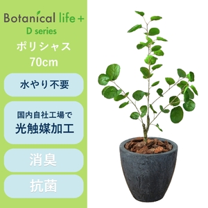 フェイクグリーン Botanical life+ Dシリーズ ポリシャス 70cm 光触媒加工 鉢付き インテリア 抗菌 消臭 愛知県 豊橋市 送料無料 35000円