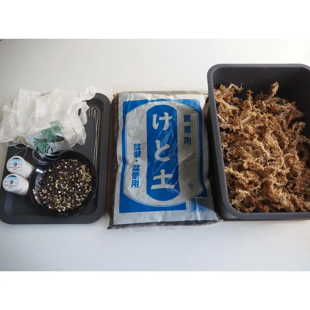360度楽しめる！吊るせる観葉植物「ゆらゆらハングボールキット」