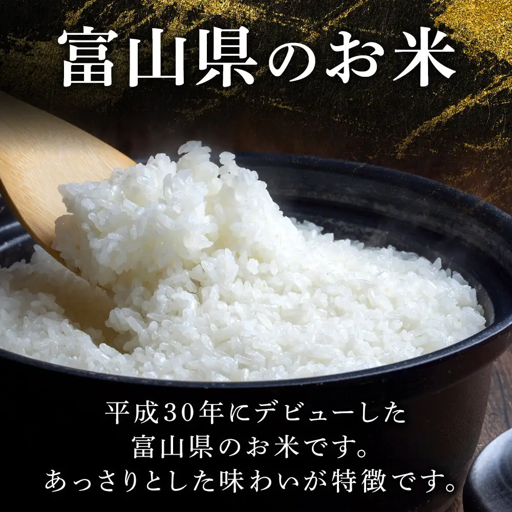 【令和7年産】みどりふぁーむの富富富（ふふふ) 10kg  米 お米 白米