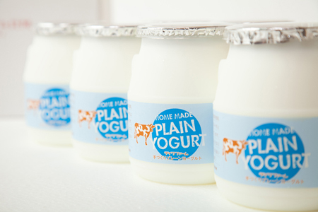 【牧場直送】素材にこだわった朝搾り牛乳のヨーグルトセット（乳製品 ヨーグルト）