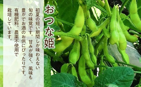 【令和8年産 先行予約】枝豆 おつな姫　2kg　山形県鶴岡市産　マルタ農園