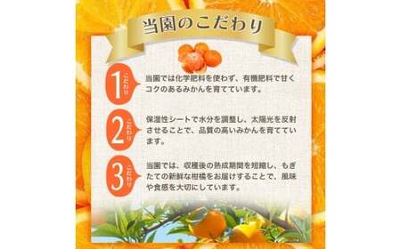 こだわりの有田みかん 約6kg＋150g(傷み補償分) 【nuk102-01A】