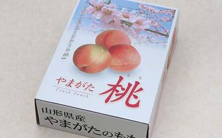 【先行受付 令和8年度発送】山形もぎたて白桃『硬めの桃』品種おまかせ3kg ギフト箱入り FSY-2038