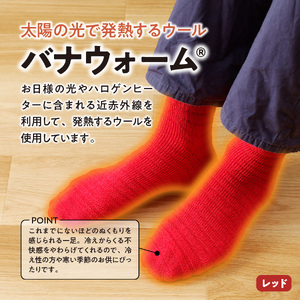 光吸収発熱ウール「ウォームファーム ボーダー柄靴下」（チャコールグレー） 靴下 ウール 天然繊維 バナウォーム 暖かい