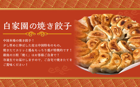 焼き餃子 10個×5袋 計50個 ／ 餃子 ぎょうざ ギョーザ 中華 惣菜 冷凍 長崎