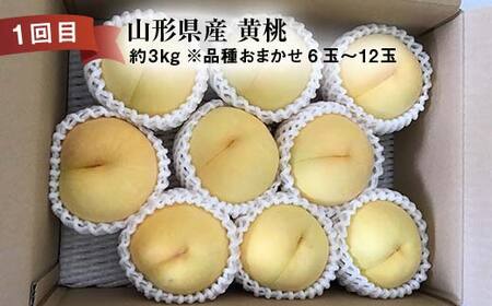 《2026年先行予約》 山形県 至高のフルーツ！ 山形県至上のフルーツ定期便 全3回 FSY-2458