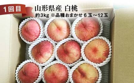 《2026年先行予約》 山形県 至高のフルーツ！ 山形県秀逸フルーツ定期便 全3回 FSY-2459