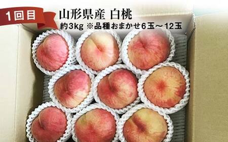 《2026年先行予約》 山形県 至高のフルーツ！ 山形県秀逸フルーツ定期便 全4回 FSY-2460
