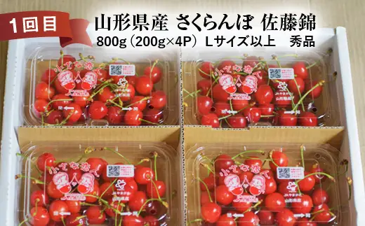 《2026年先行予約》 山形県 至高のフルーツ！ 山形県特出フルーツ定期便 全3回 FSY-2461