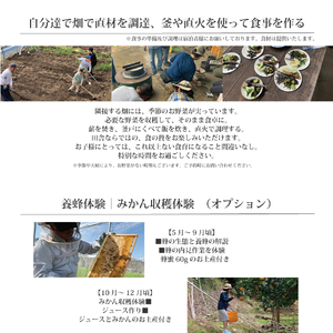 古民家民泊ぶんぶく 2名様宿泊券 田舎暮らし＋養蜂体験付きプラン