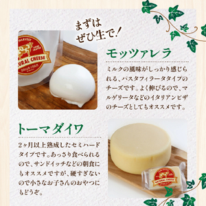 【国内外コンテスト受賞！】奇跡のチーズセット（ナチュラルチーズ 乳製品）　　